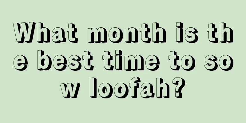 What month is the best time to sow loofah?