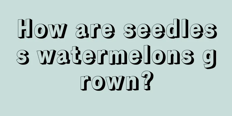 How are seedless watermelons grown?