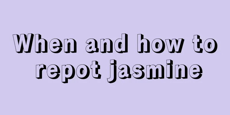 When and how to repot jasmine