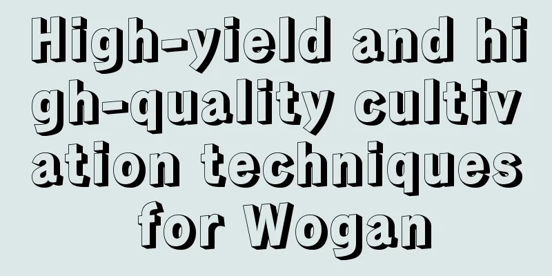 High-yield and high-quality cultivation techniques for Wogan