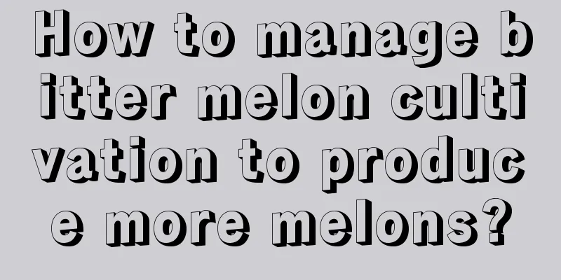 How to manage bitter melon cultivation to produce more melons?