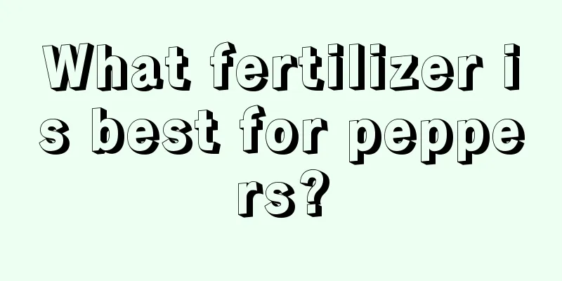 What fertilizer is best for peppers?