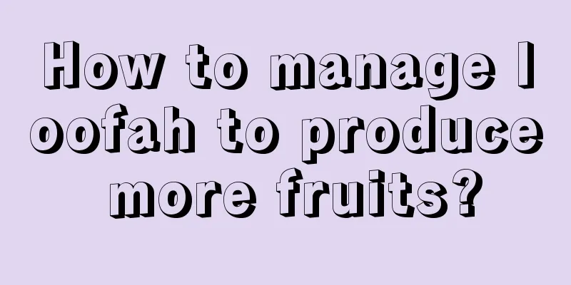 How to manage loofah to produce more fruits?