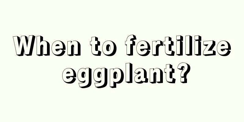 When to fertilize eggplant?