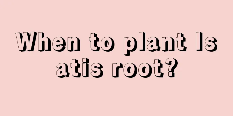 When to plant Isatis root?