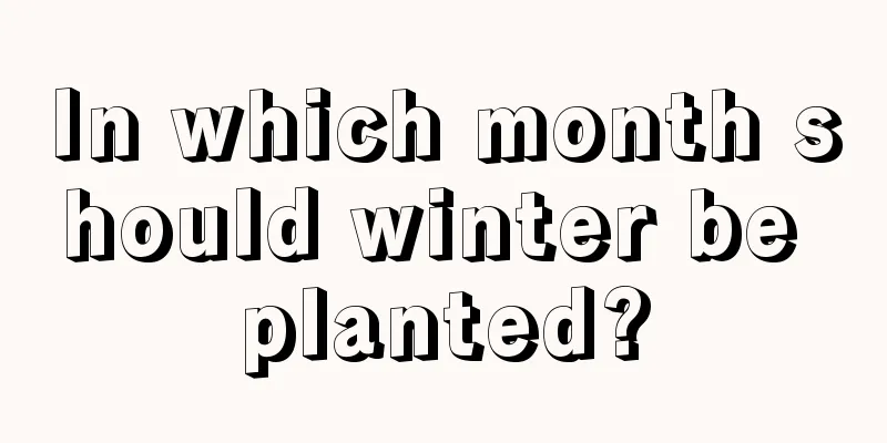 In which month should winter be planted?