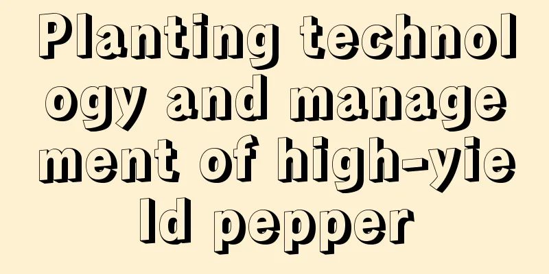 Planting technology and management of high-yield pepper