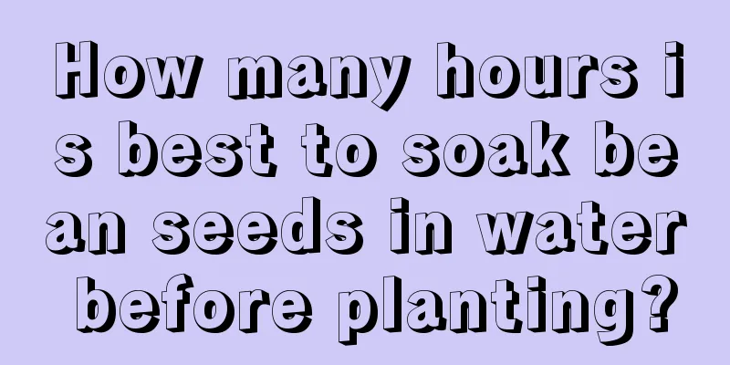 How many hours is best to soak bean seeds in water before planting?