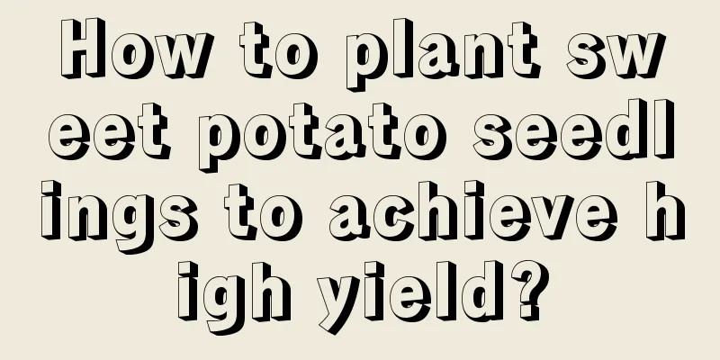 How to plant sweet potato seedlings to achieve high yield?