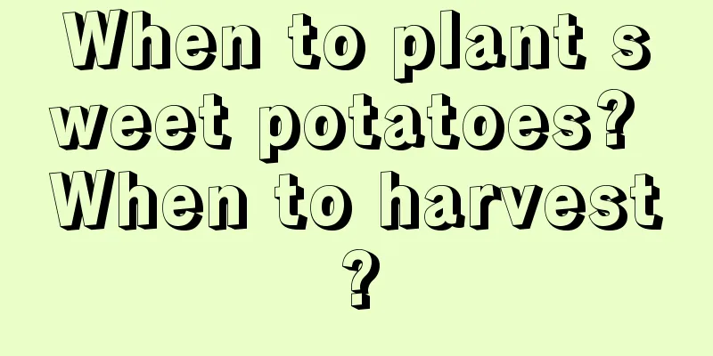 When to plant sweet potatoes? When to harvest?