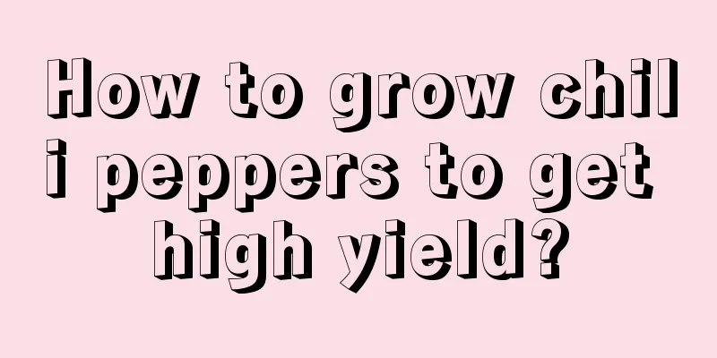 How to grow chili peppers to get high yield?