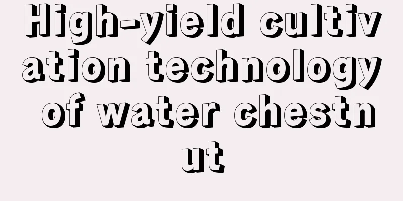 High-yield cultivation technology of water chestnut