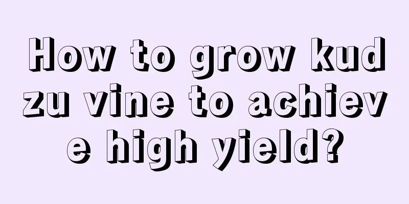 How to grow kudzu vine to achieve high yield?