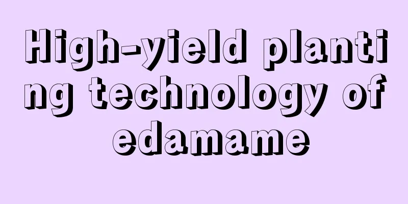 High-yield planting technology of edamame