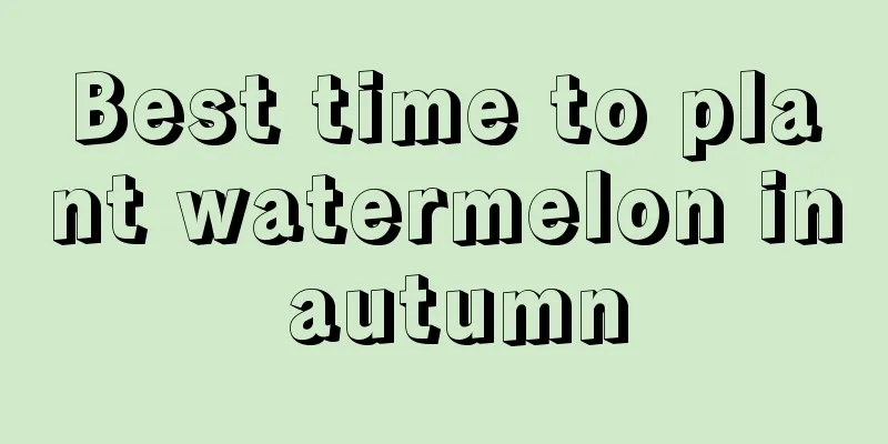 Best time to plant watermelon in autumn