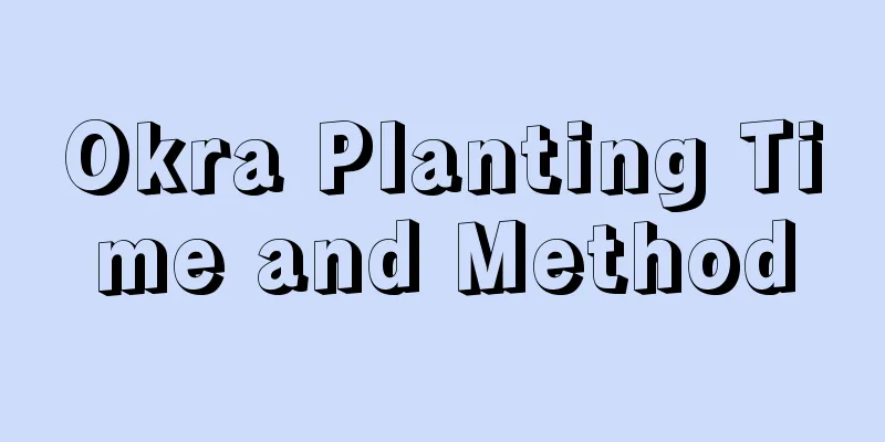 Okra Planting Time and Method