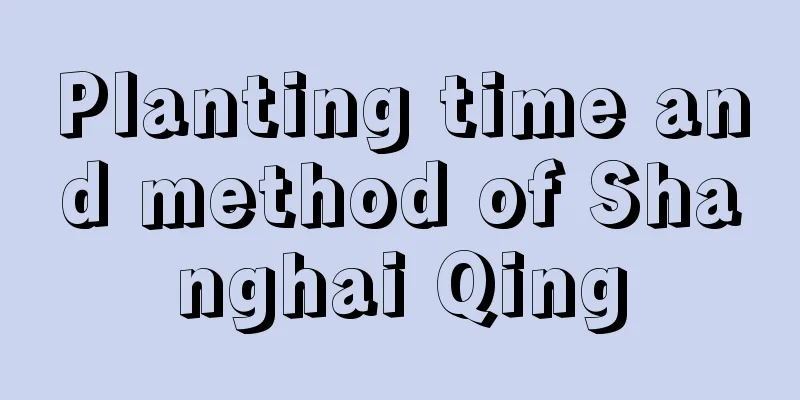 Planting time and method of Shanghai Qing