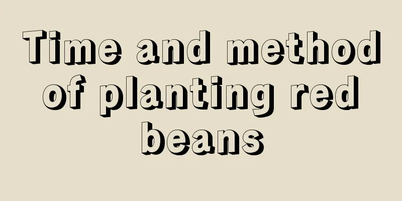 Time and method of planting red beans