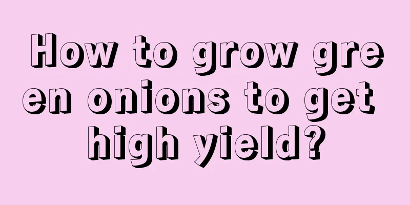 How to grow green onions to get high yield?