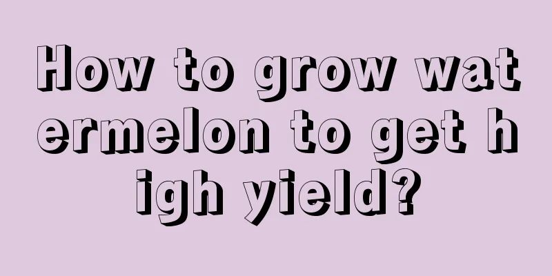 How to grow watermelon to get high yield?