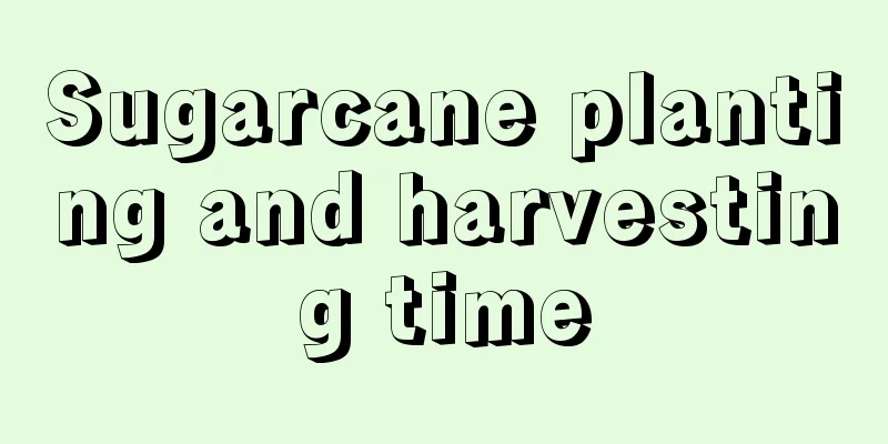 Sugarcane planting and harvesting time