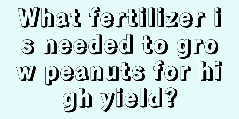 What fertilizer is needed to grow peanuts for high yield?