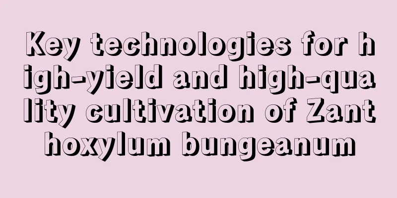 Key technologies for high-yield and high-quality cultivation of Zanthoxylum bungeanum