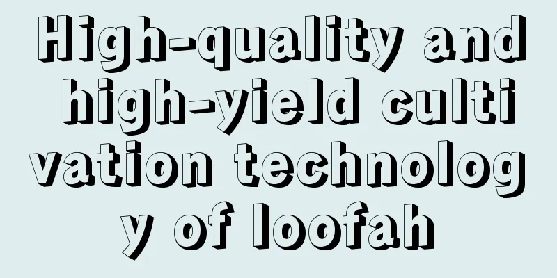 High-quality and high-yield cultivation technology of loofah