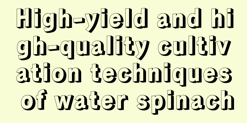 High-yield and high-quality cultivation techniques of water spinach