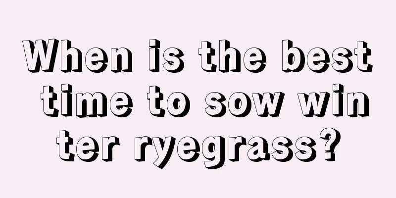 When is the best time to sow winter ryegrass?