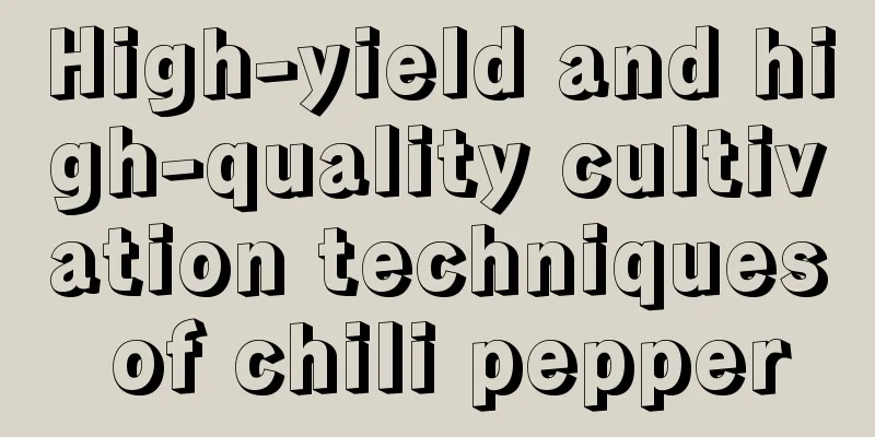 High-yield and high-quality cultivation techniques of chili pepper