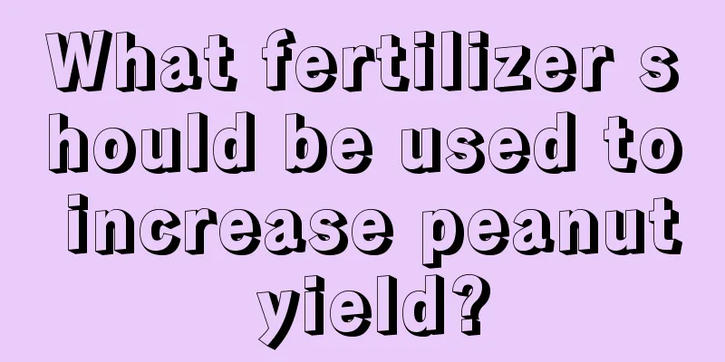 What fertilizer should be used to increase peanut yield?