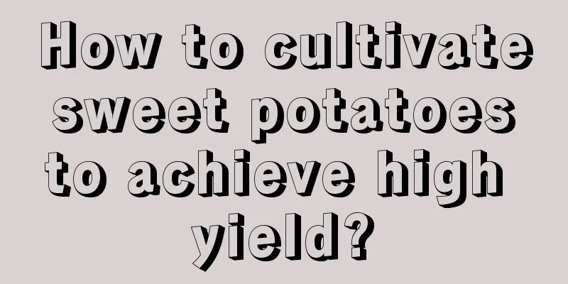 How to cultivate sweet potatoes to achieve high yield?