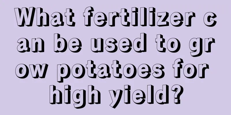 What fertilizer can be used to grow potatoes for high yield?