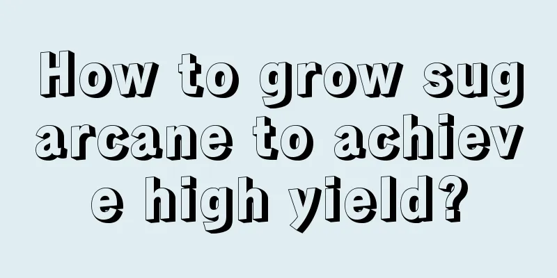 How to grow sugarcane to achieve high yield?