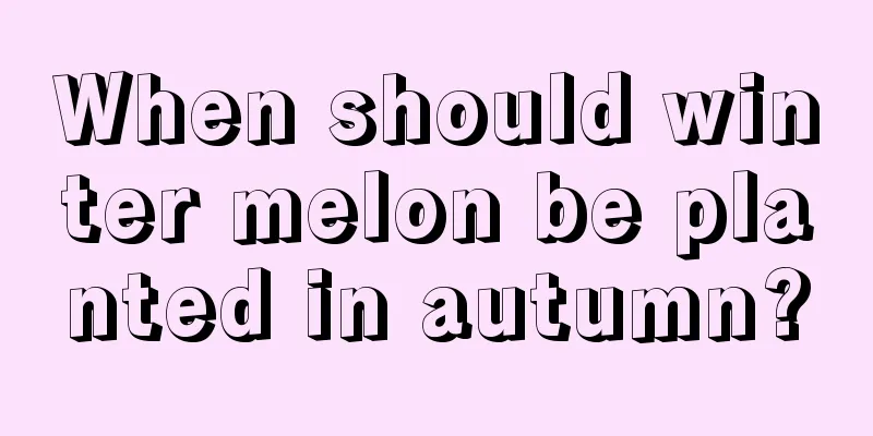 When should winter melon be planted in autumn?