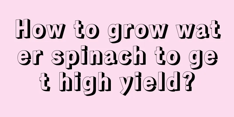 How to grow water spinach to get high yield?