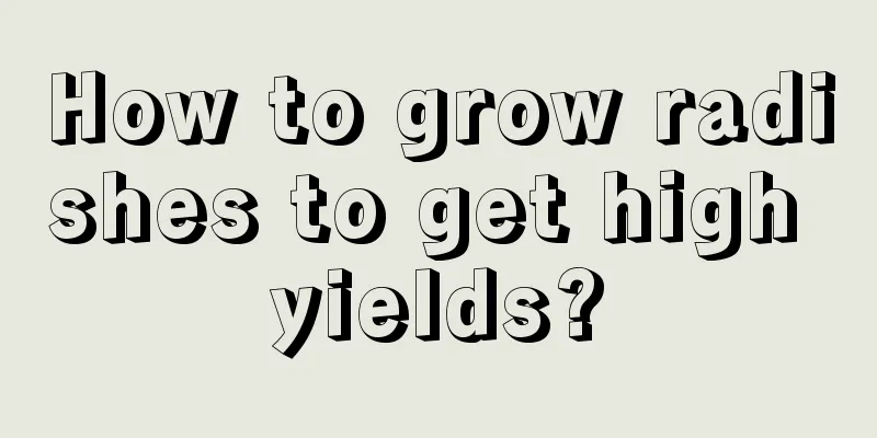 How to grow radishes to get high yields?