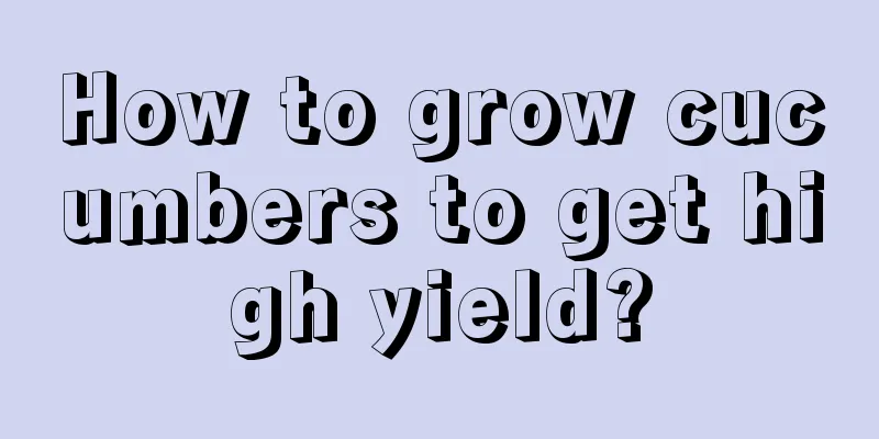 How to grow cucumbers to get high yield?