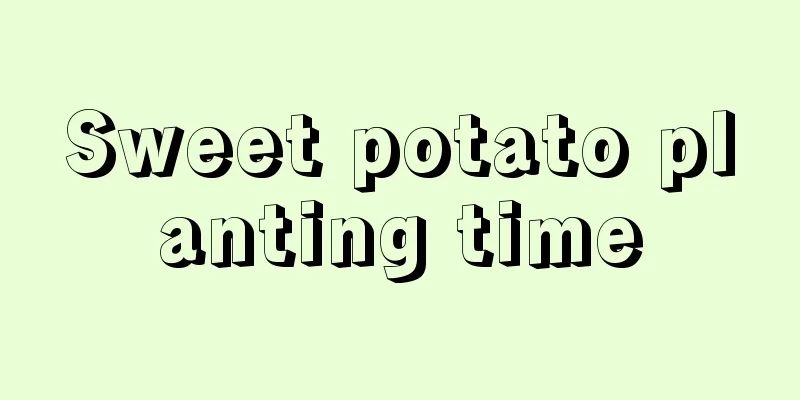 Sweet potato planting time