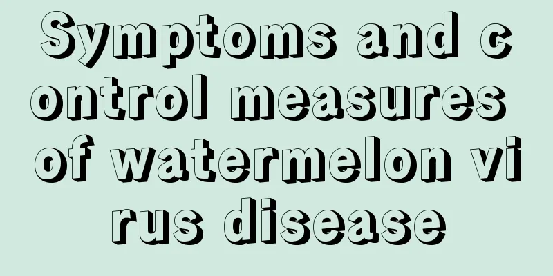 Symptoms and control measures of watermelon virus disease