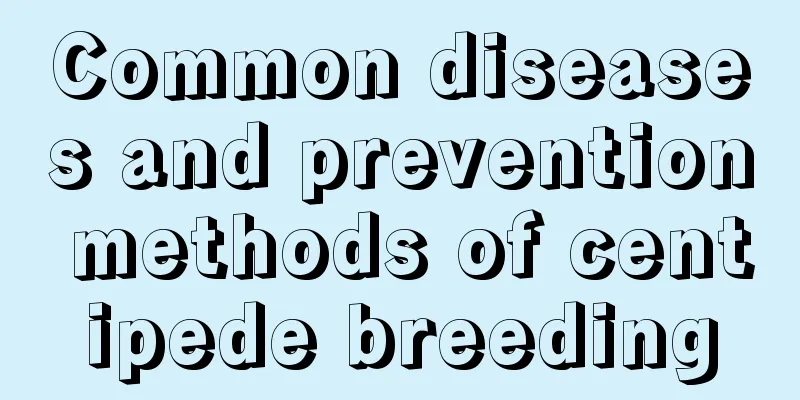 Common diseases and prevention methods of centipede breeding