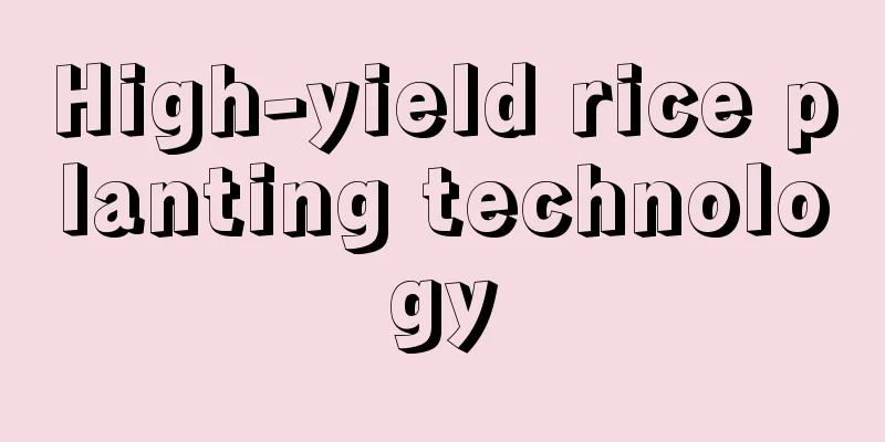 High-yield rice planting technology