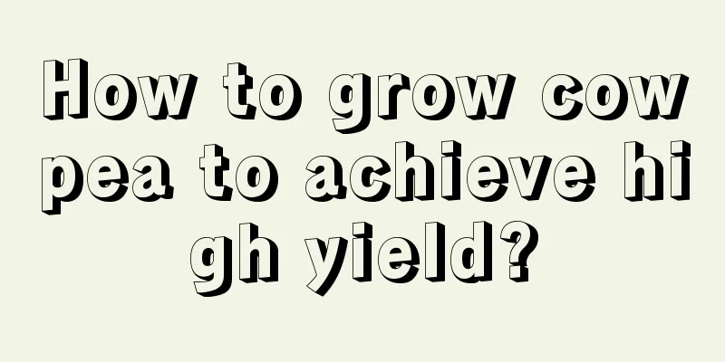 How to grow cowpea to achieve high yield?