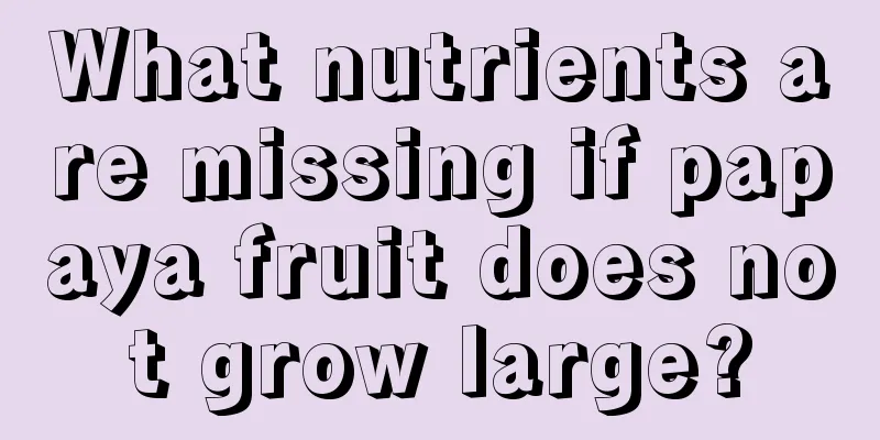 What nutrients are missing if papaya fruit does not grow large?