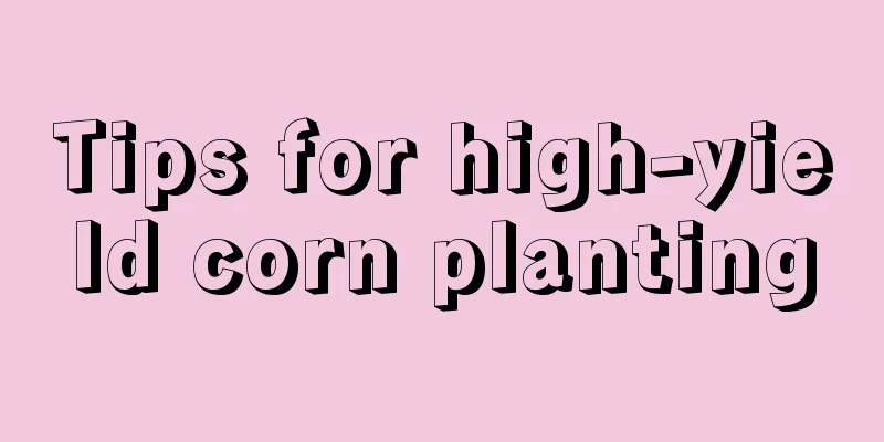 Tips for high-yield corn planting