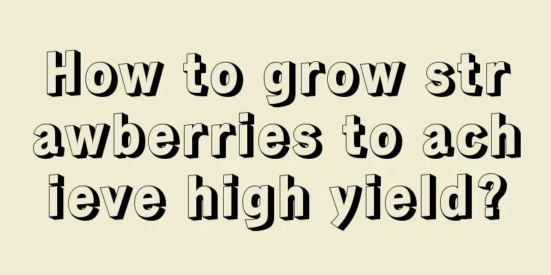 How to grow strawberries to achieve high yield?