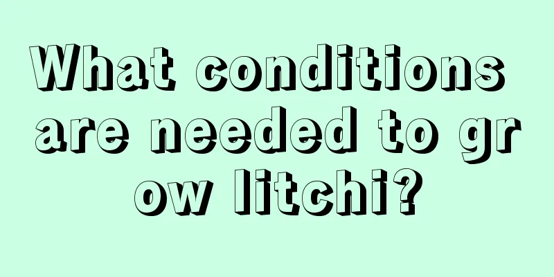 What conditions are needed to grow litchi?