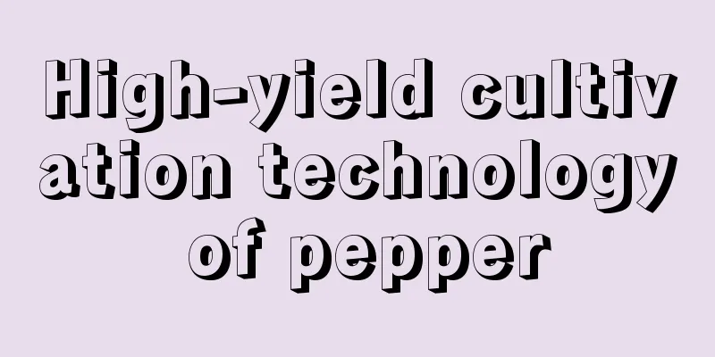 High-yield cultivation technology of pepper