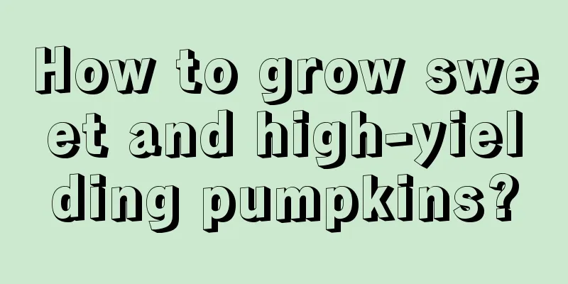 How to grow sweet and high-yielding pumpkins?